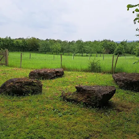 Σπίτι διακοπών Viroinval For Seven Person