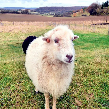 Viroinval For Seven Person 펜션 *