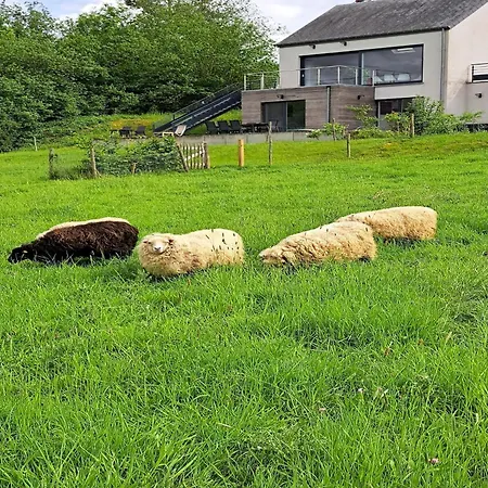Viroinval For Seven Person Σπίτι διακοπών Petigny